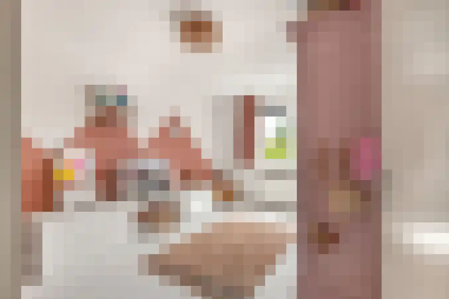 Vivaldisingel 23 Nieuw-Vennep thumbnail 28