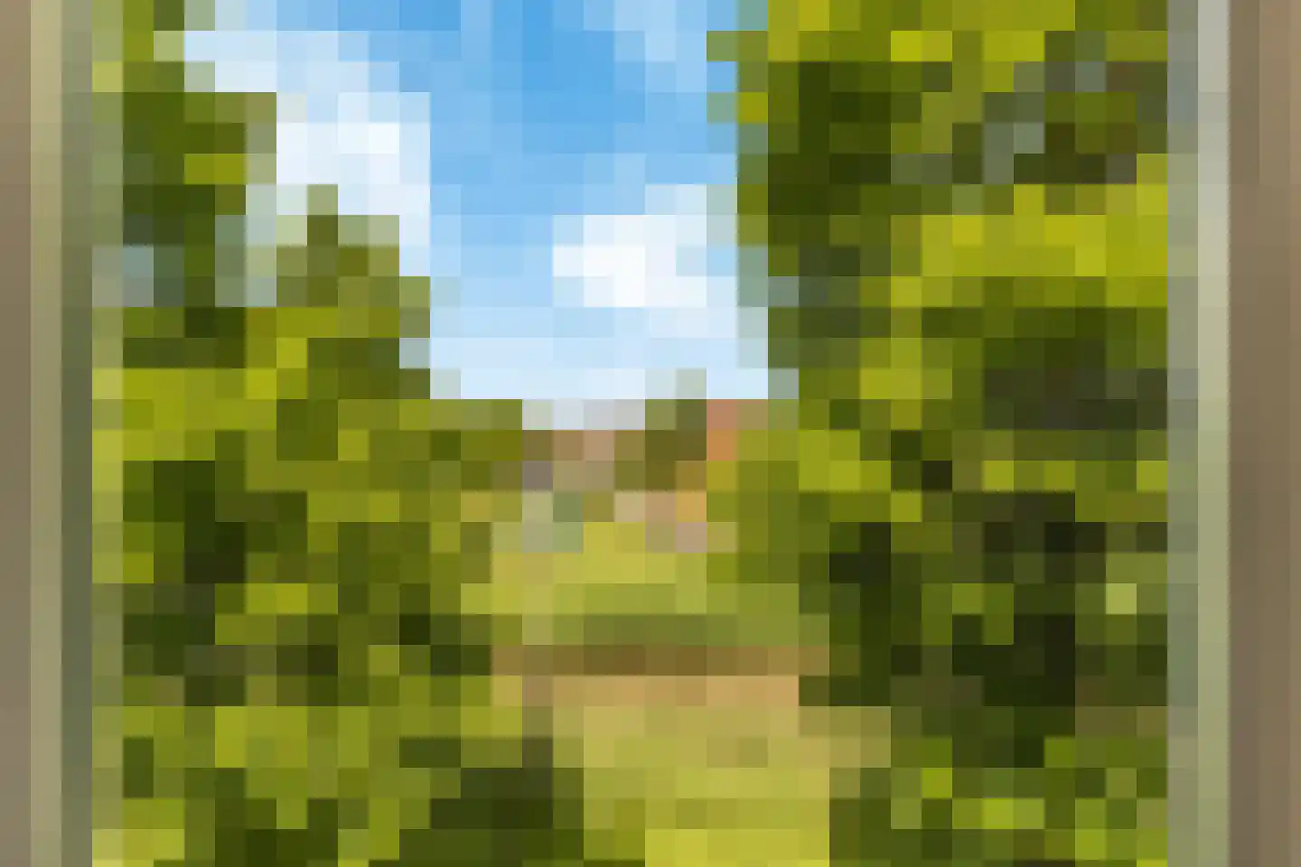 Vivaldisingel 23 Nieuw-Vennep thumbnail 38