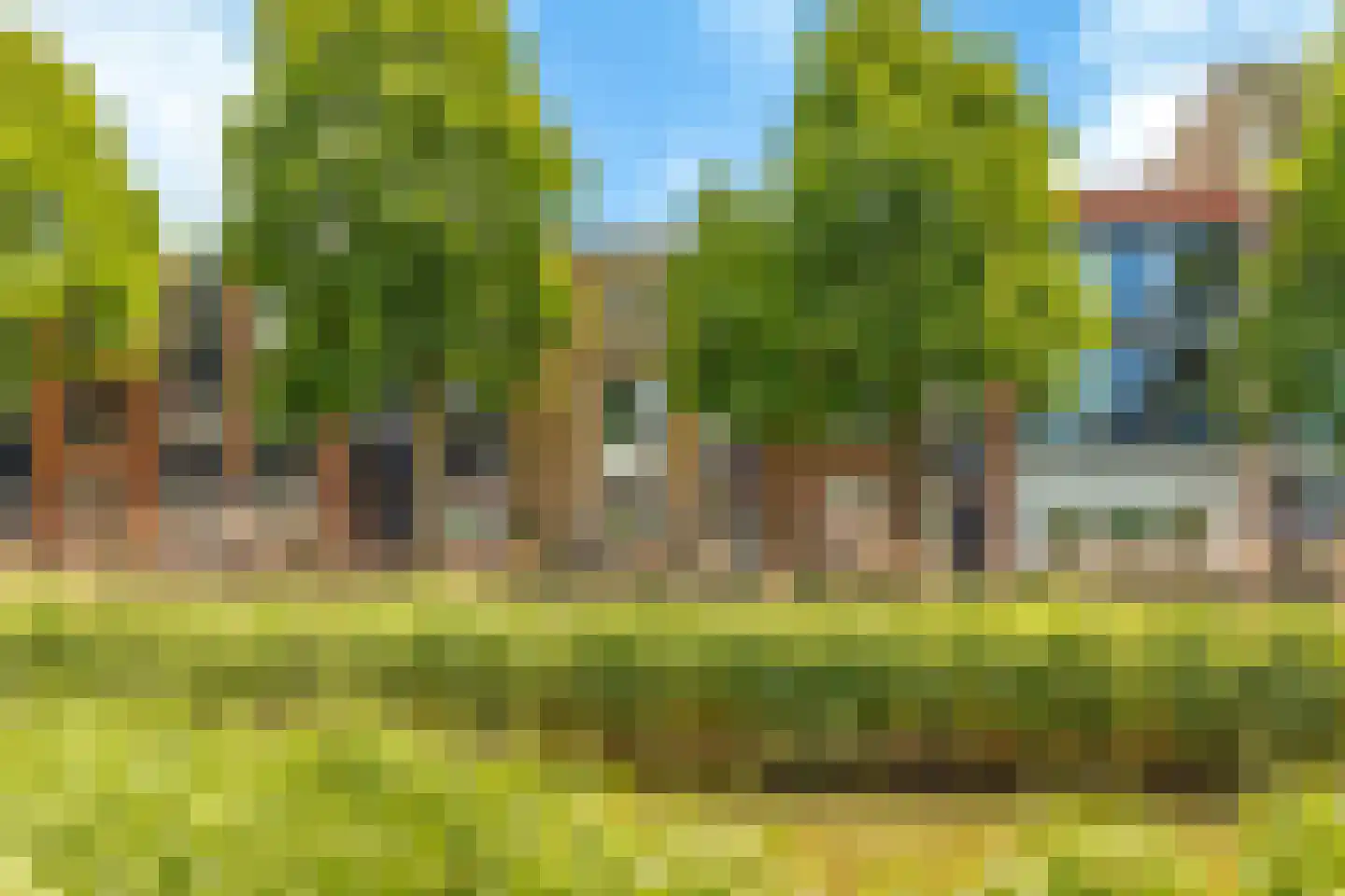 Vivaldisingel 23 Nieuw-Vennep thumbnail 51