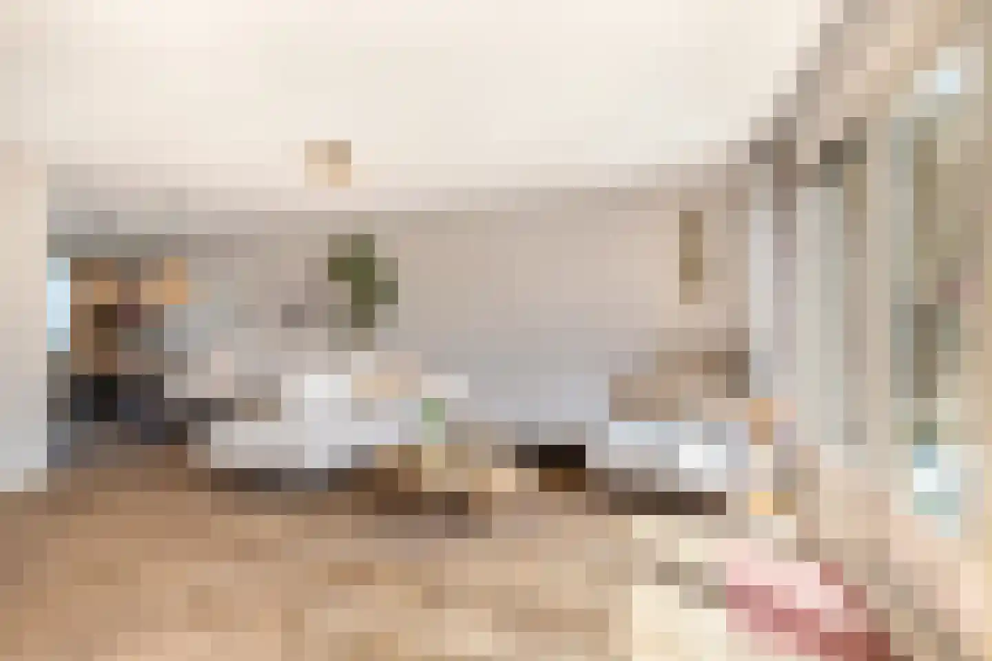 Vivaldisingel 23 Nieuw-Vennep thumbnail 9