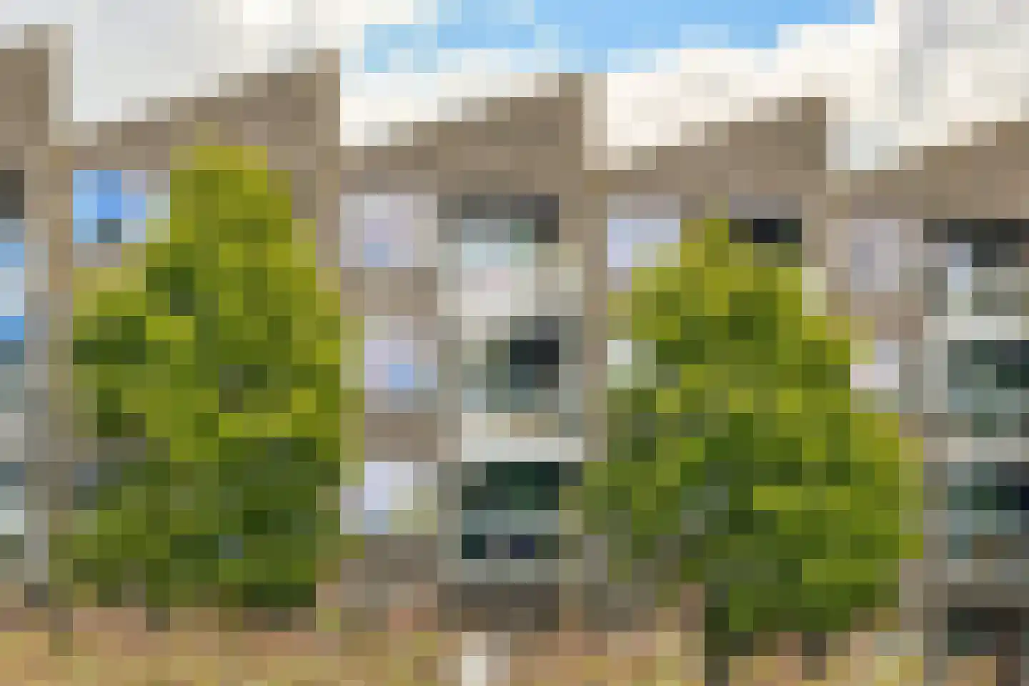 Vivaldisingel 255 Nieuw-Vennep foto 2