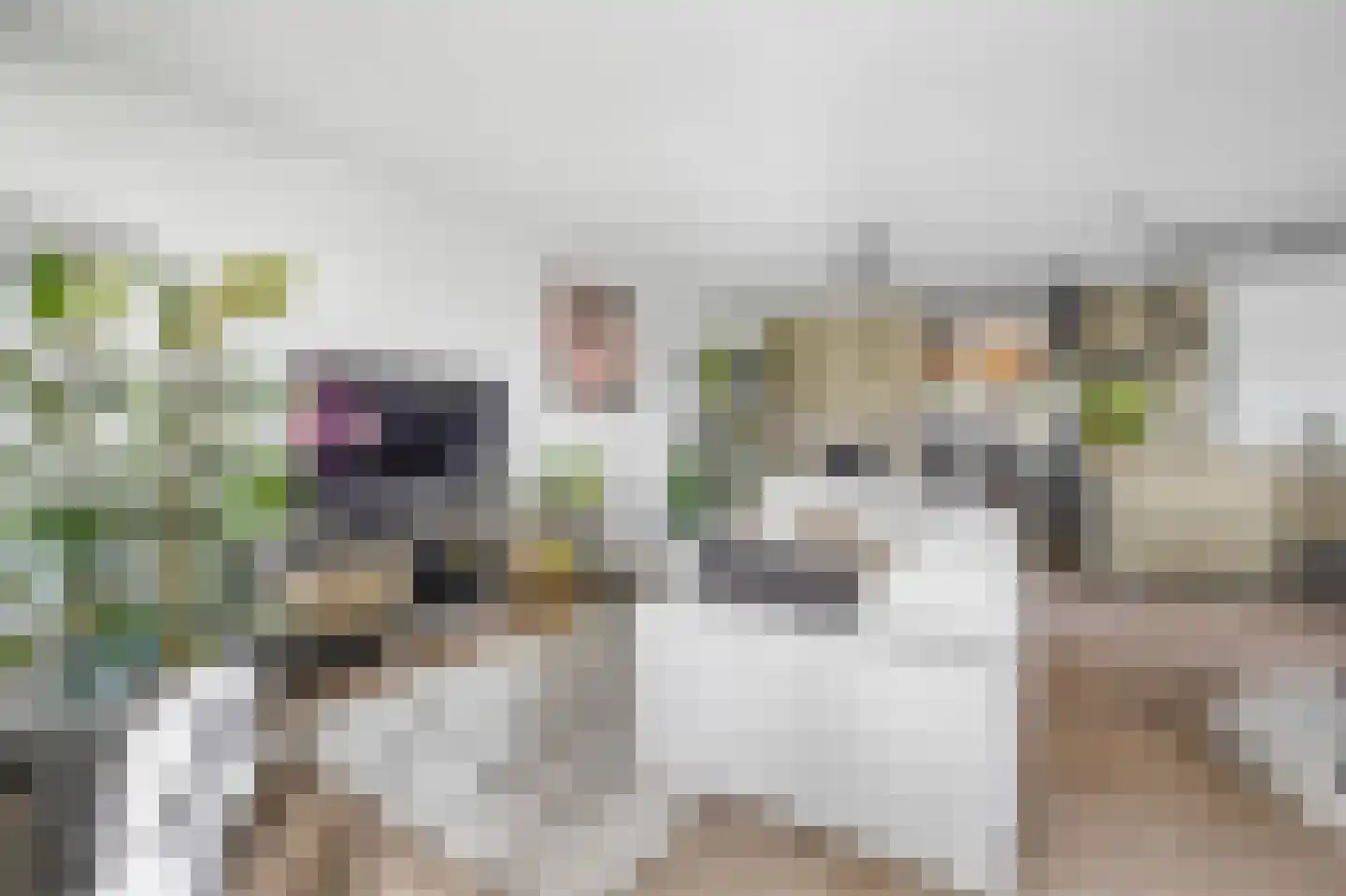 Vivaldisingel 3 Nieuw-Vennep thumbnail 17