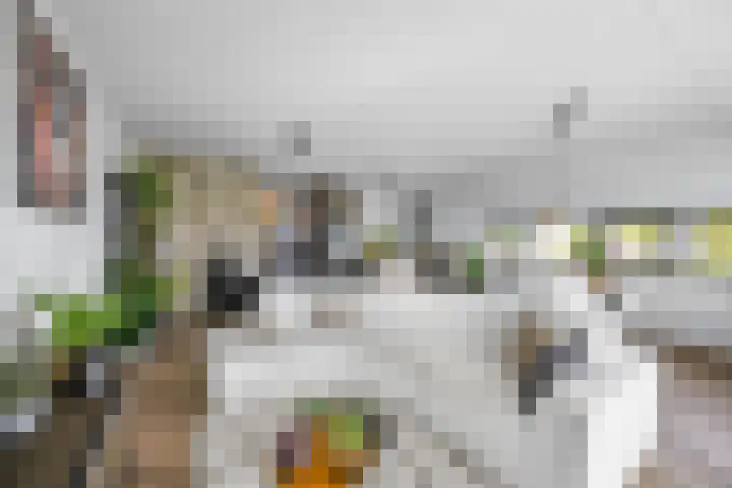 Vivaldisingel 3 Nieuw-Vennep thumbnail 18
