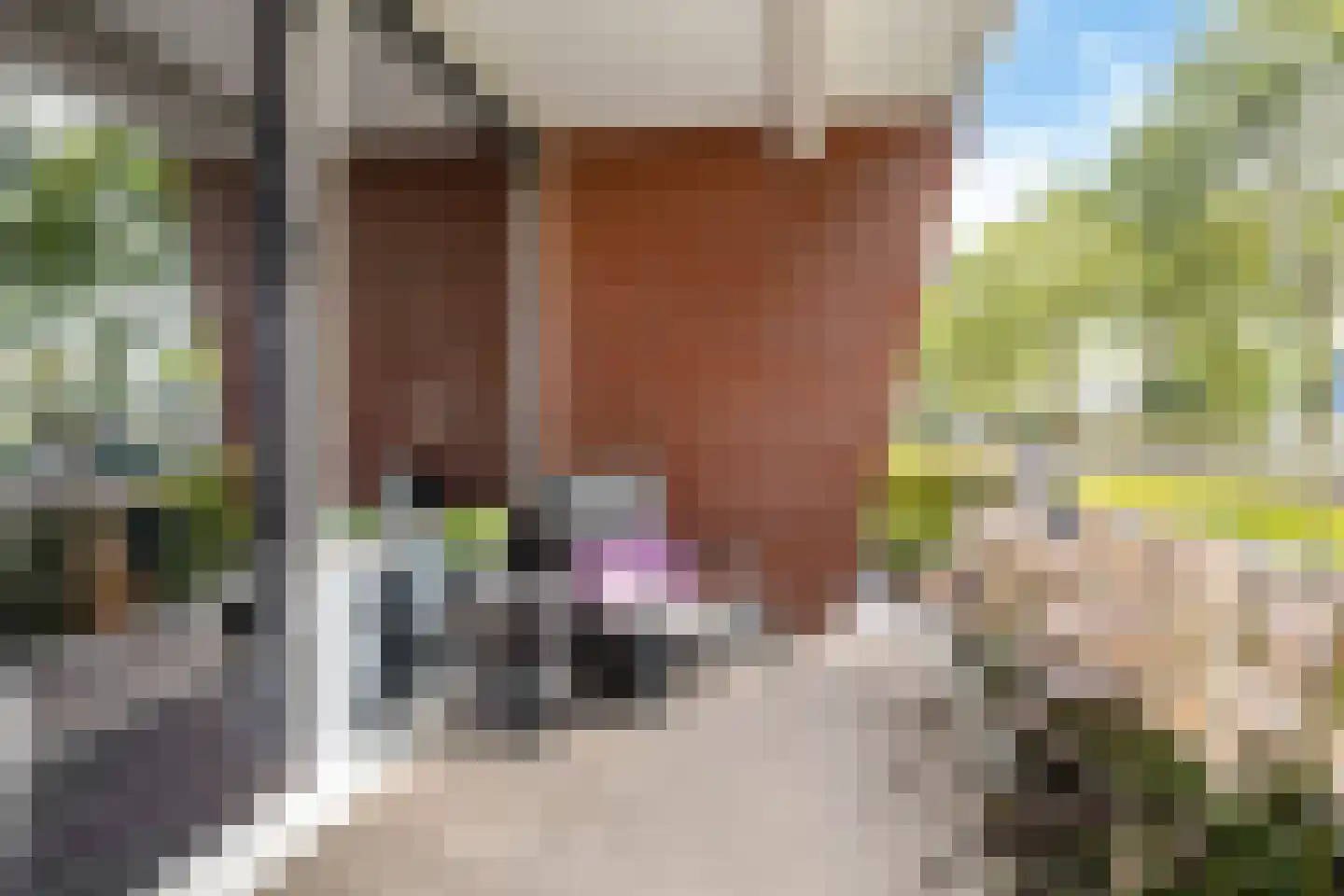 Vivaldisingel 3 Nieuw-Vennep thumbnail 20