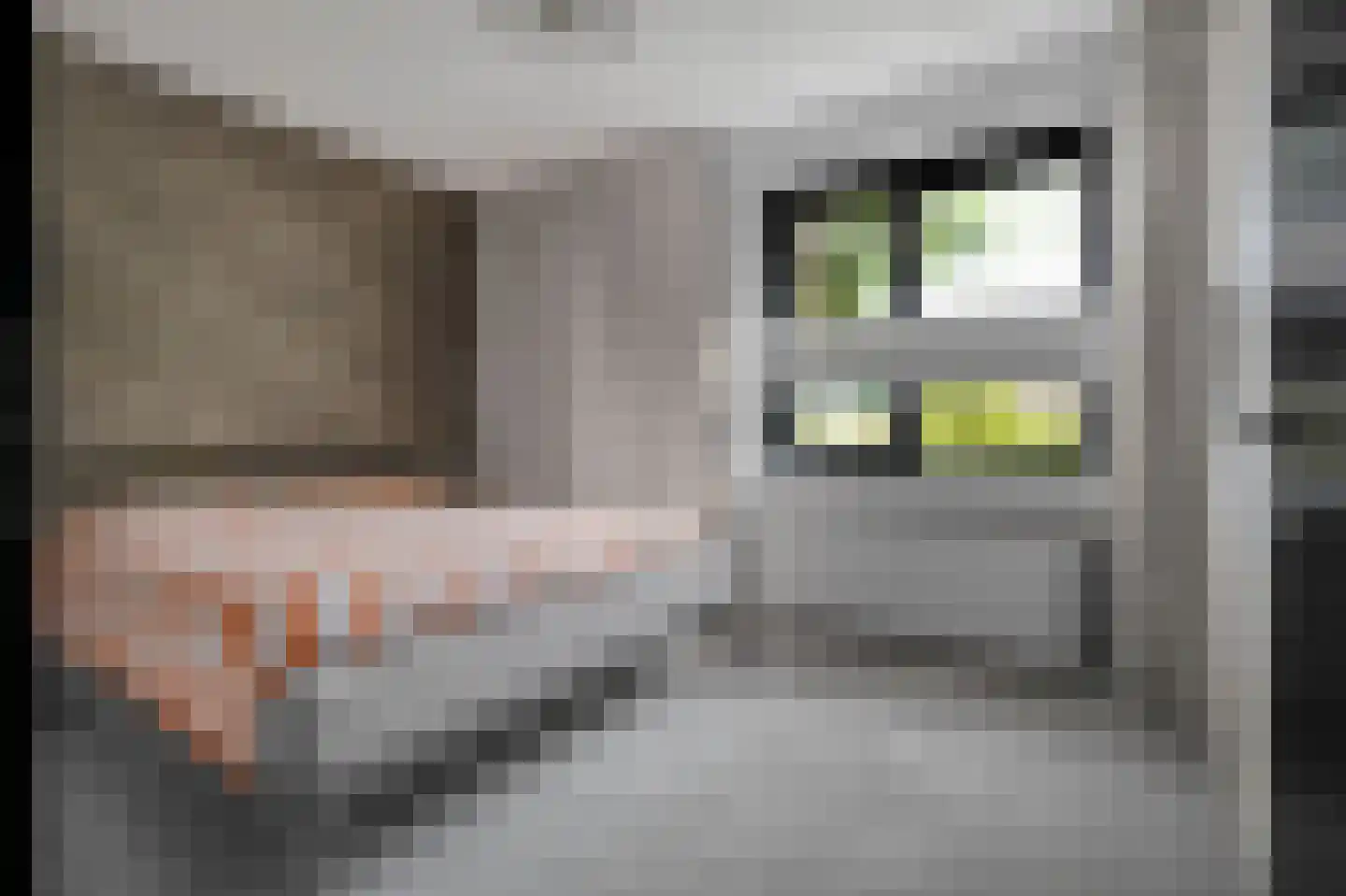 Vivaldisingel 3 Nieuw-Vennep thumbnail 23