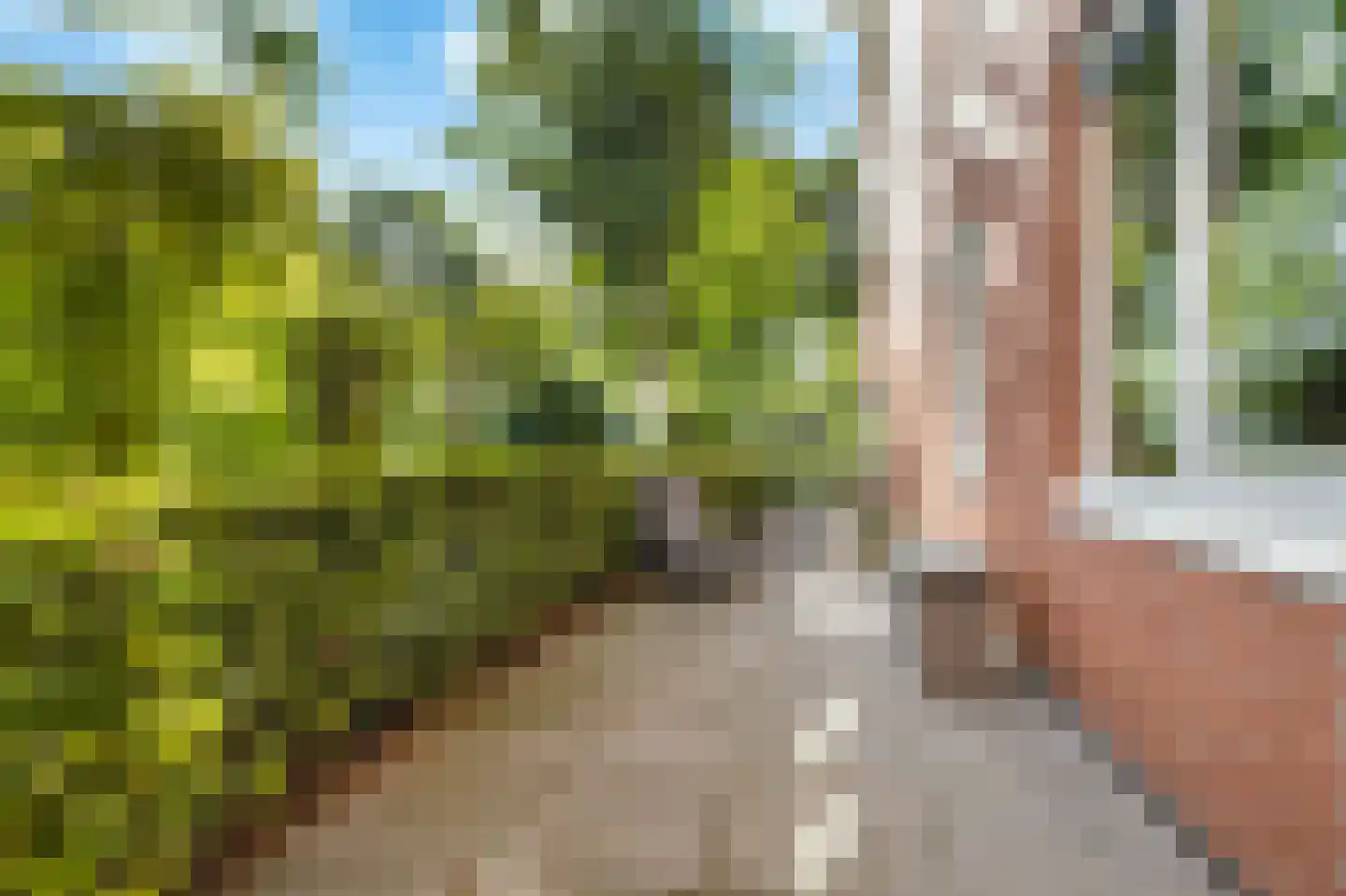 Vivaldisingel 3 Nieuw-Vennep thumbnail 30