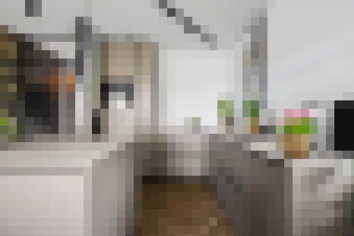 Vivaldisingel 3 Nieuw-Vennep thumbnail 4