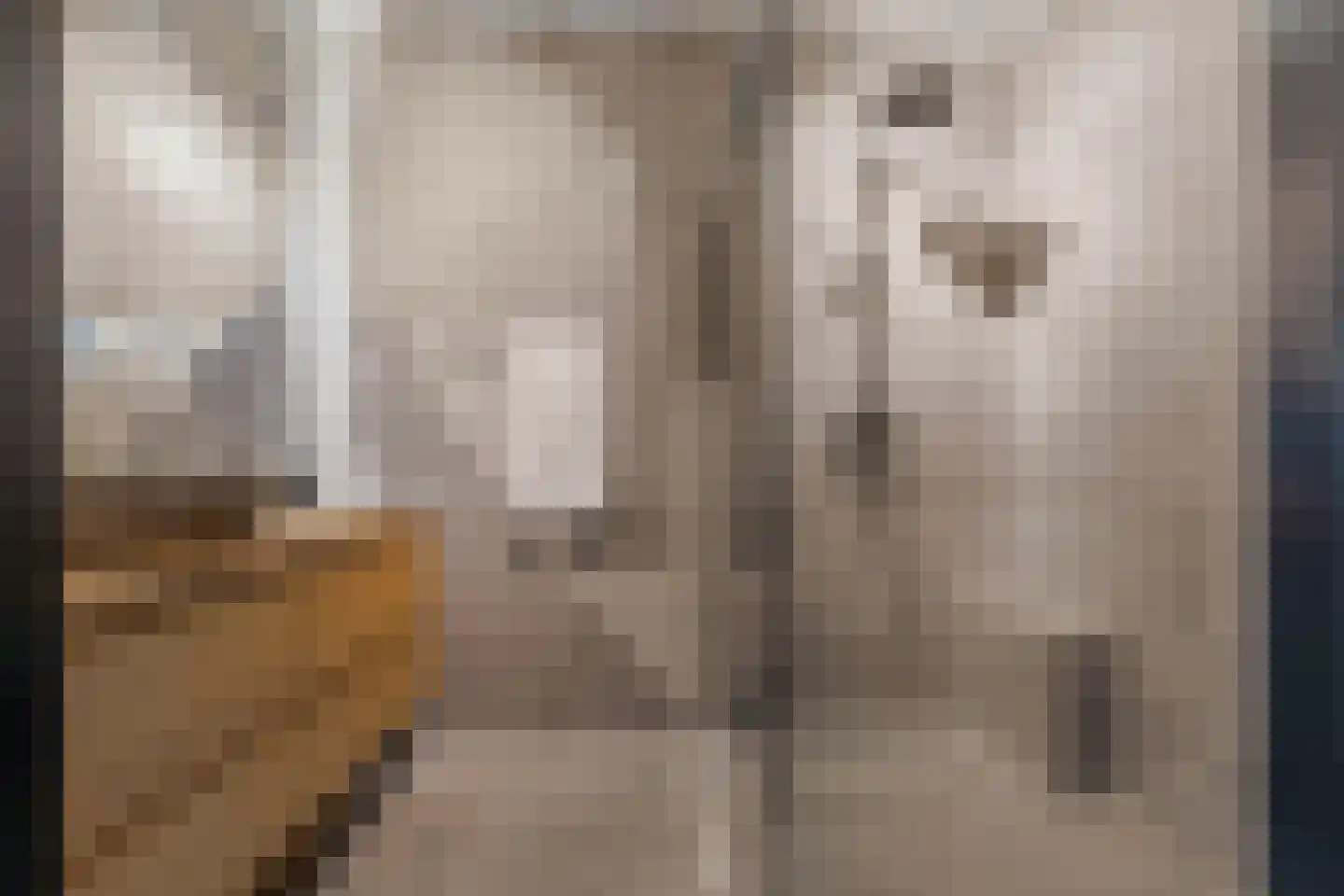 Vivaldisingel 3 Nieuw-Vennep thumbnail 5