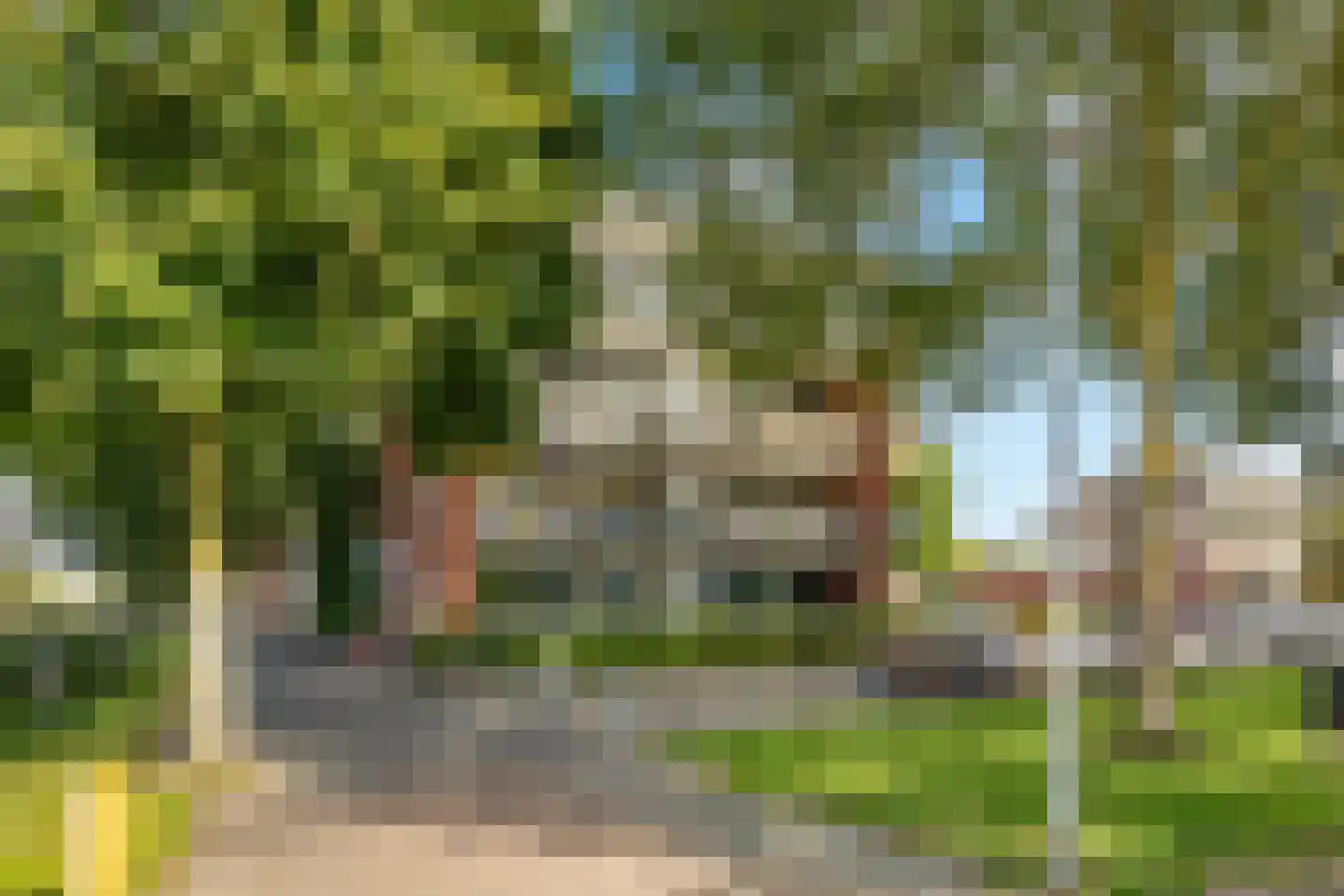 Vivaldisingel 3 Nieuw-Vennep thumbnail 7