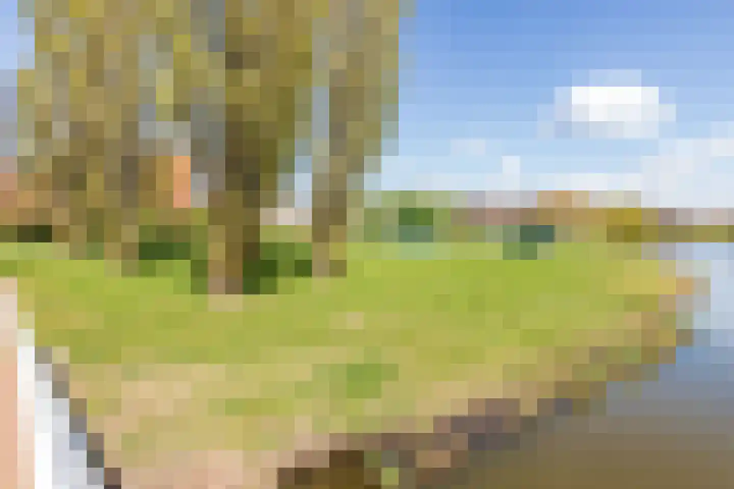 Vivaldisingel 77 Nieuw-Vennep thumbnail 46