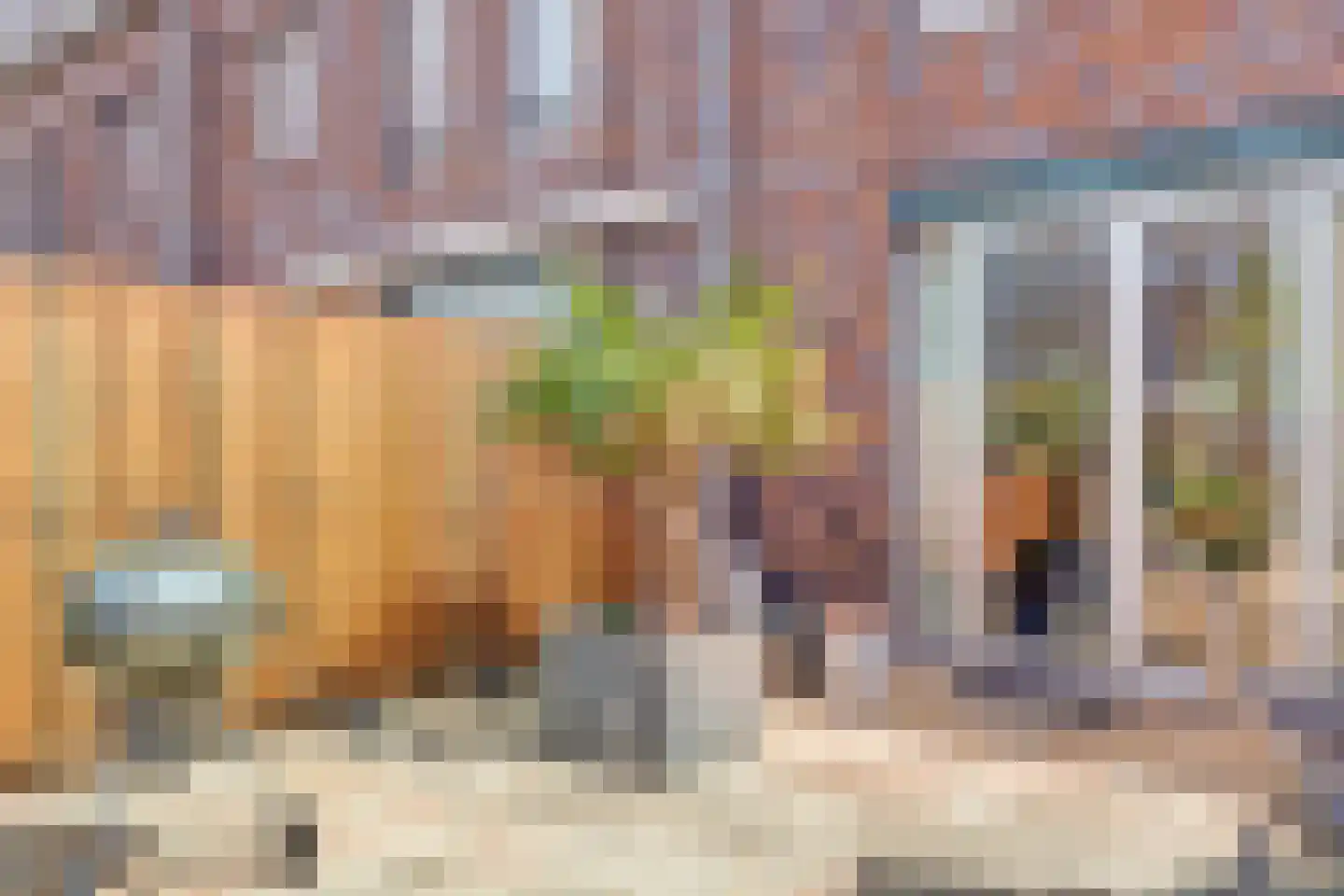 Vivaldistraat 10 Ridderkerk thumbnail 35