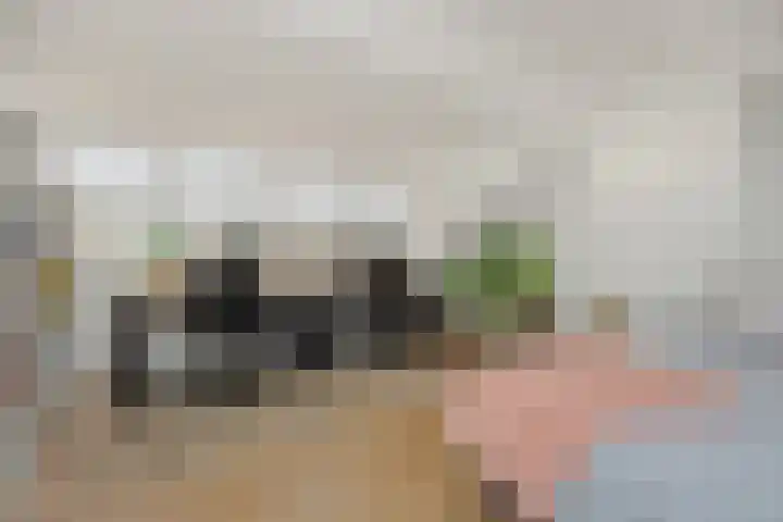 Vivaldistraat 11 's-Hertogenbosch thumbnail 28