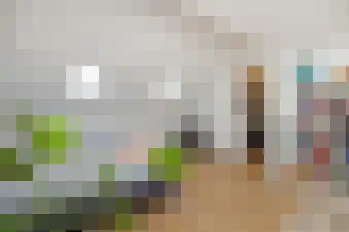 Vivaldistraat 11 's-Hertogenbosch thumbnail 29