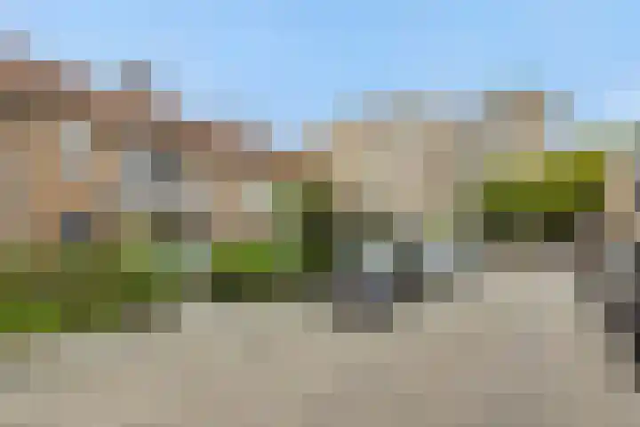 Vivaldistraat 11 's-Hertogenbosch thumbnail 33