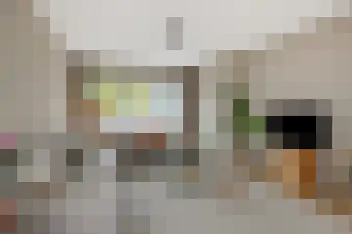 Vivaldistraat 11 's-Hertogenbosch thumbnail 5