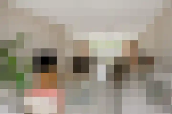 Vivaldistraat 11 's-Hertogenbosch thumbnail 6