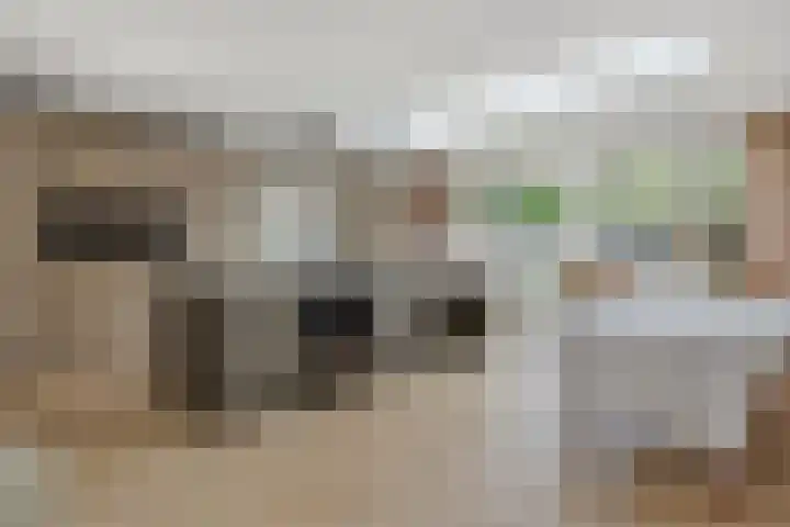 Vivaldistraat 11 's-Hertogenbosch thumbnail 7