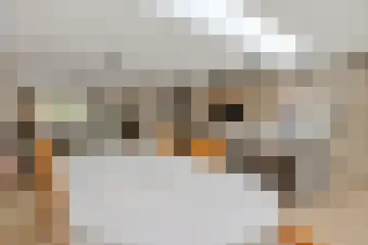 Vivaldistraat 11 's-Hertogenbosch thumbnail 8