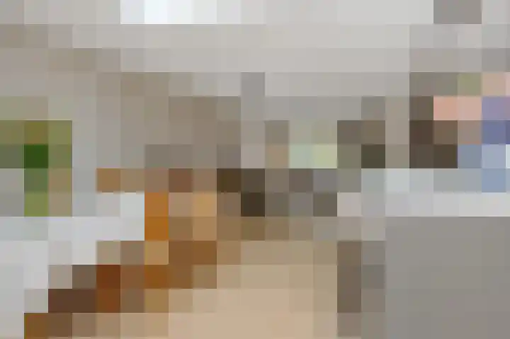 Vivaldistraat 11 's-Hertogenbosch thumbnail 9