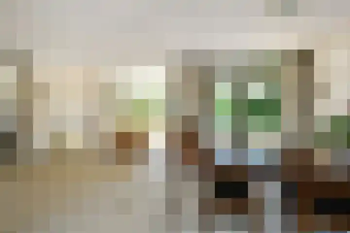 Vivaldistraat 12 Elst thumbnail 11