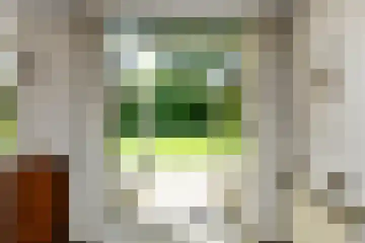 Vivaldistraat 12 Elst thumbnail 12