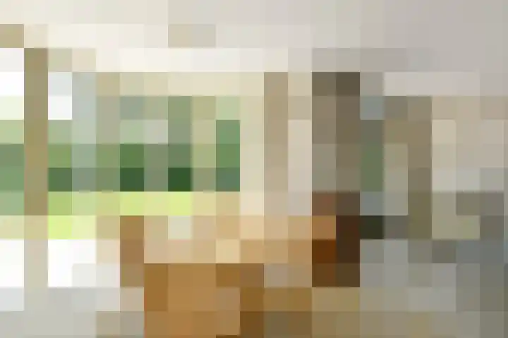 Vivaldistraat 12 Elst thumbnail 15