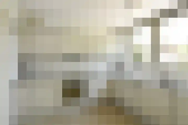 Vivaldistraat 12 Elst thumbnail 17