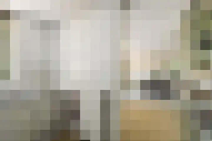 Vivaldistraat 12 Elst thumbnail 19