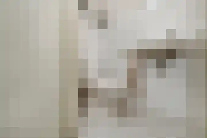 Vivaldistraat 12 Elst thumbnail 23