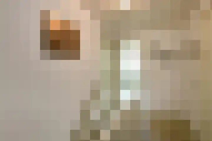 Vivaldistraat 12 Elst thumbnail 24
