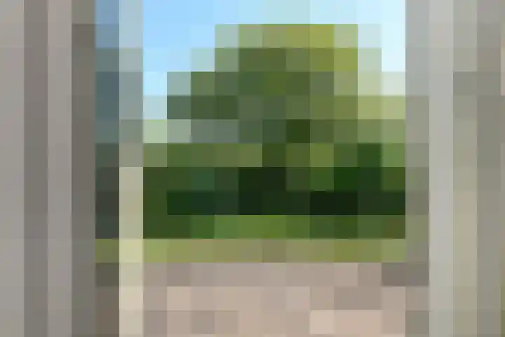 Vivaldistraat 12 Elst thumbnail 30