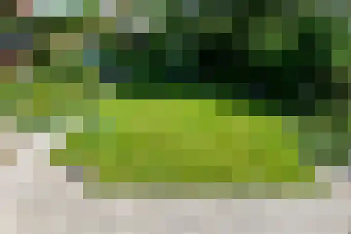 Vivaldistraat 12 Elst thumbnail 31