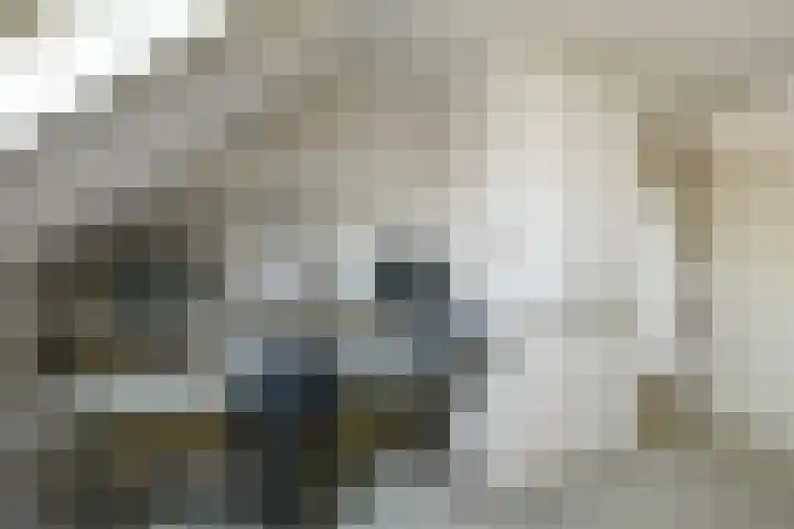 Vivaldistraat 12 Elst thumbnail 35