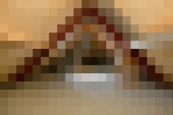 Vivaldistraat 12 Elst thumbnail 43
