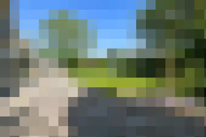 Vivaldistraat 12 Elst thumbnail 47