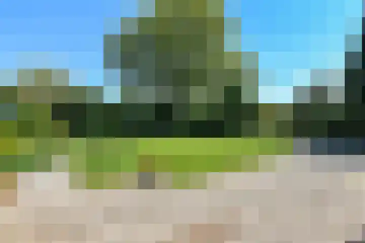 Vivaldistraat 12 Elst thumbnail 48