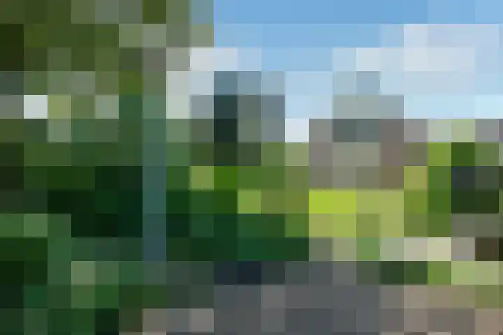 Vivaldistraat 12 Elst thumbnail 5