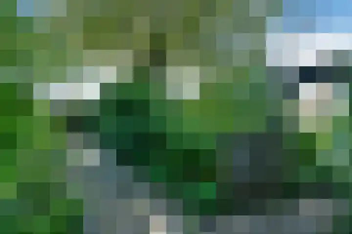 Vivaldistraat 12 Elst thumbnail 52