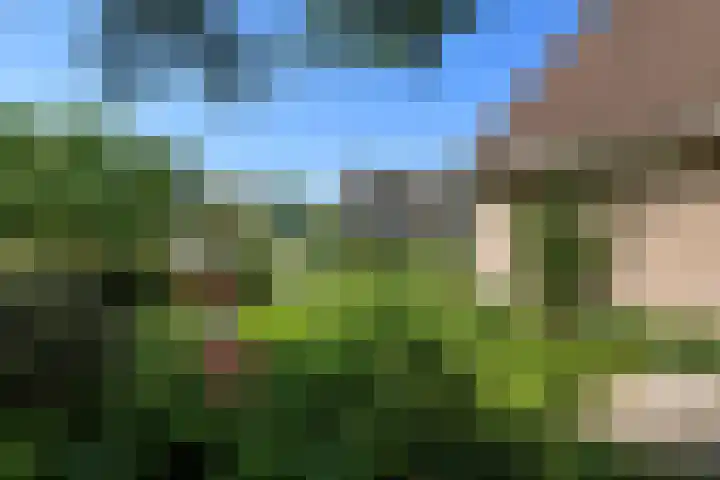 Vivaldistraat 12 Elst thumbnail 53
