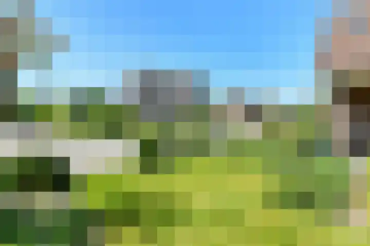 Vivaldistraat 12 Elst thumbnail 56