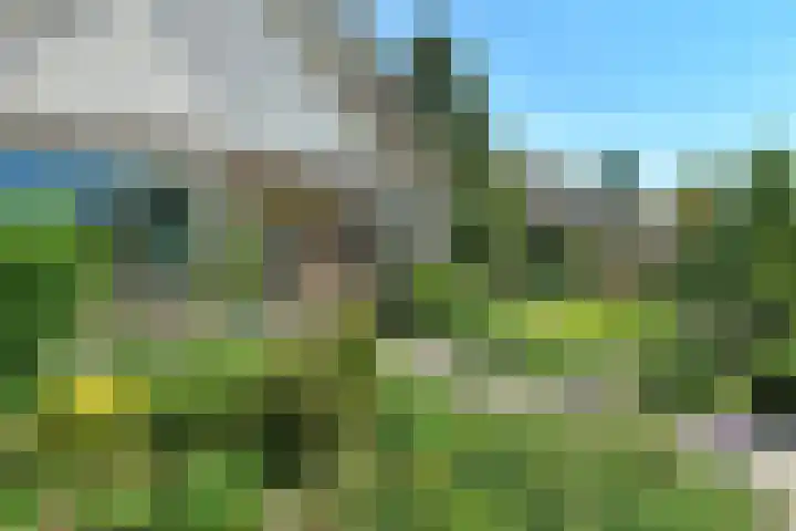 Vivaldistraat 12 Elst thumbnail 57
