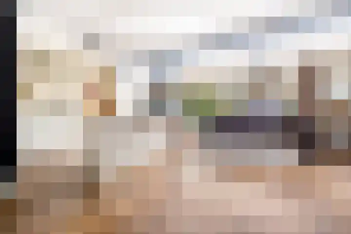 Vivaldistraat 13 's-Hertogenbosch thumbnail 11