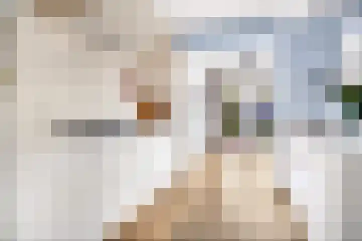 Vivaldistraat 13 's-Hertogenbosch thumbnail 12