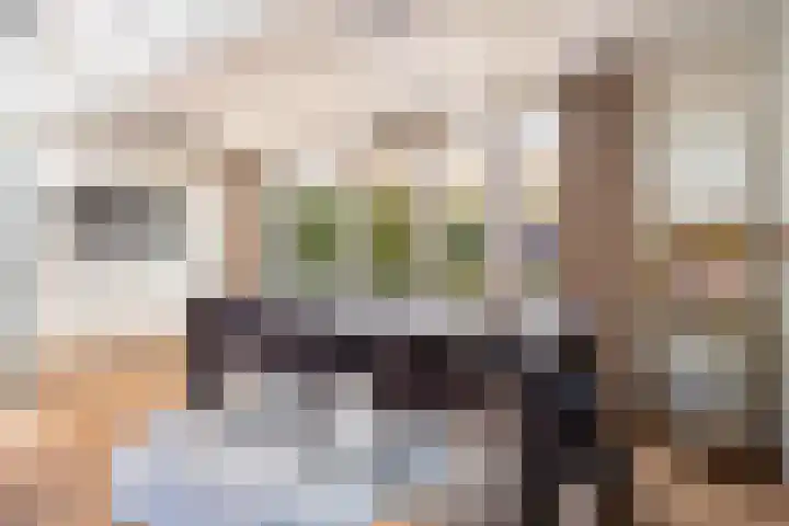 Vivaldistraat 13 's-Hertogenbosch thumbnail 15