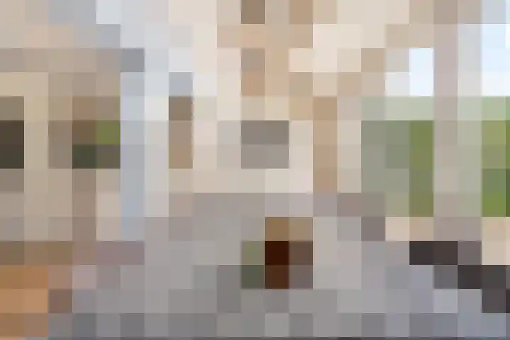 Vivaldistraat 13 's-Hertogenbosch thumbnail 17