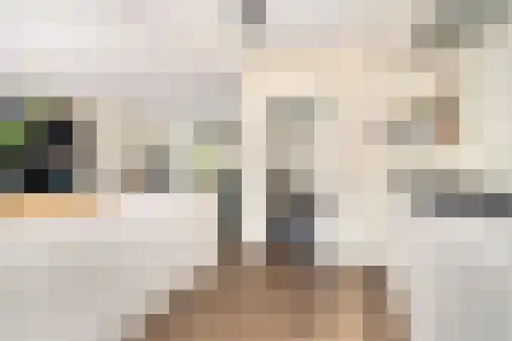 Vivaldistraat 13 's-Hertogenbosch thumbnail 22