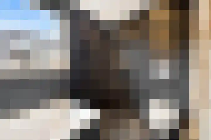 Vivaldistraat 13 's-Hertogenbosch thumbnail 31