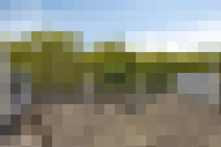 Vivaldistraat 138 Capelle aan den IJssel thumbnail 4