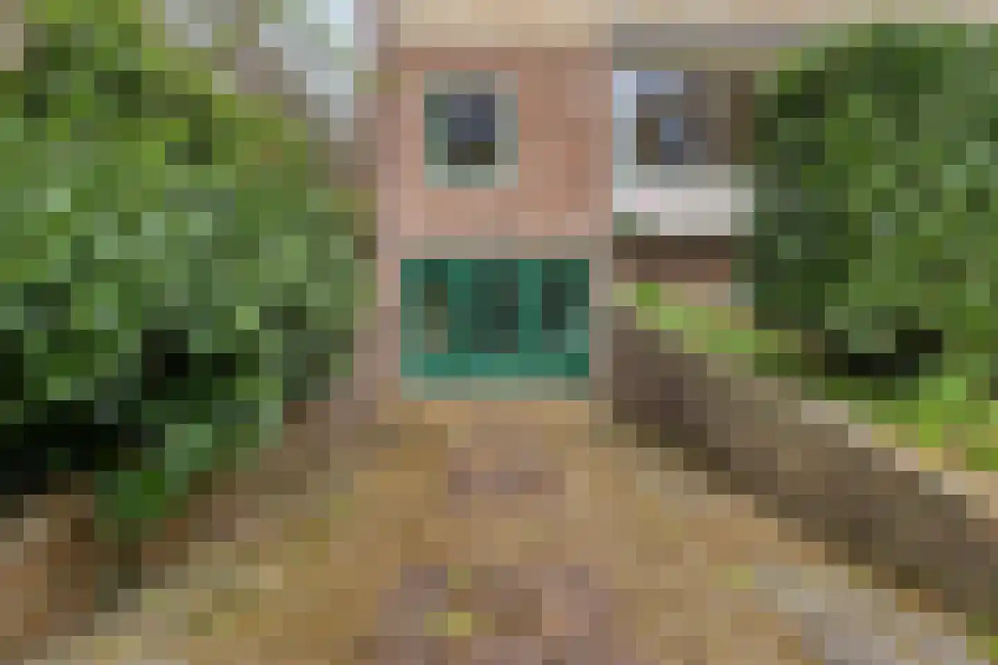 Vivaldistraat 15 Arnhem thumbnail 11