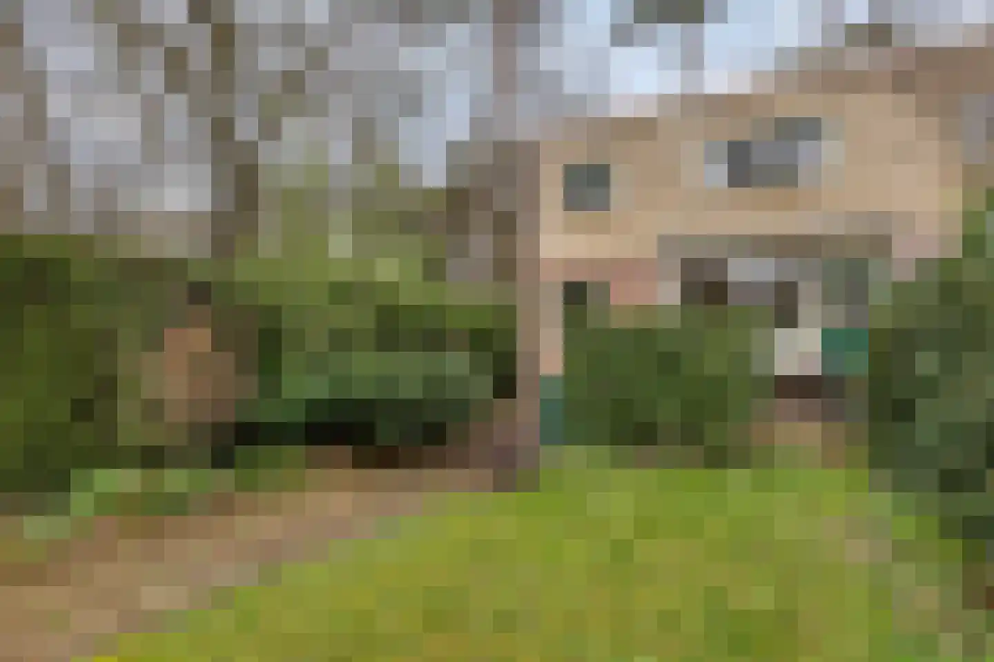 Vivaldistraat 15 Arnhem thumbnail 12